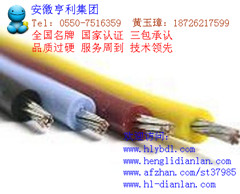 厦门高温屏蔽控制电缆ZR-RVVP电缆(琼花)