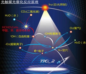 超高活性纳米二氧化钛光触媒粉